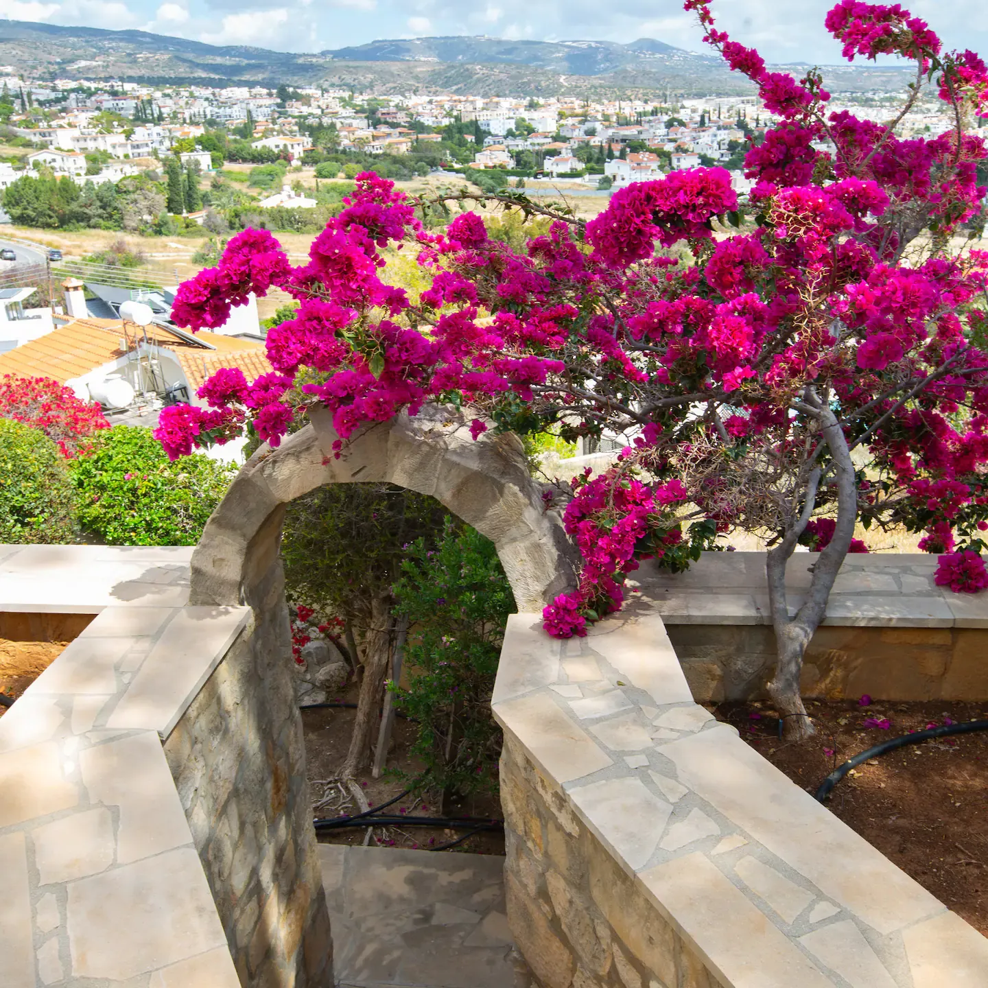 Paphos_villa